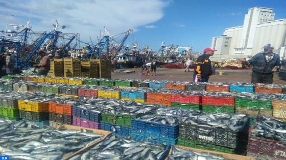 انخفاض قيمة منتوجات الصيد الساحلي والتقليدي المسوقة بميناء آسفي ومنطقة الصويرية بـ5ر22 بالمئة عند متم ماي الماضي
