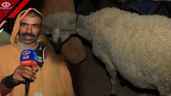 فيديو : كساب قهرو الغلا.. جاب نعجة يبيعها بسوق جمعة سحيم باغي فيها 60 درهم و عطاوه غير 30 درهم