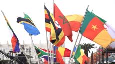 انتزاع علم دولةٍ مشاركة في كأس إفريقيا يورط قاصرين بالدار البيضاء