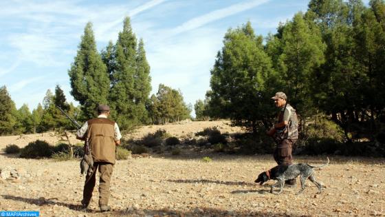 La nouvelle saison de chasse 2013/2014 démarre, dimanche (06/10/13), dans la région de l'oriental (MAP/Essaber Hassan)