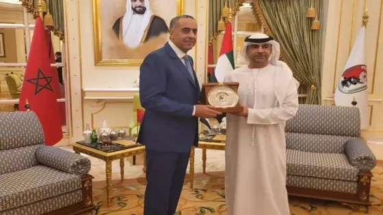 حموشي في الإمارات لتعزيز التعاون الثنائي بين البلدين في مختلف المجالات الشرطية والأمنية