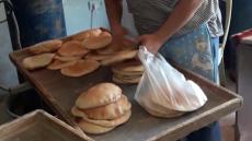 رئيس جامعة المخابز: عاقدون العزم على وضع حد لفوضى المخابز العشوائية