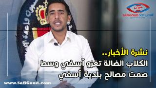 نشرة الأخبار.. الكلاب الضالة تغزو آسفي وسط صمت مصالح بلدية آسفي