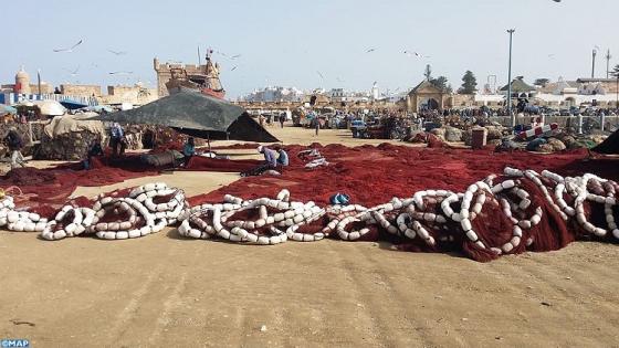 ميناء الصويرة .. انخفاض كبير في الكميات المفرغة من منتجات الصيد الساحلي والتقليدي بنسبة 68 بالمئة عند متم فبراير