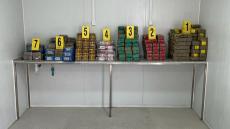 ميناء طنجة المتوسط .. إجهاض محاولة تهريب صفائح مخدر الشيرا