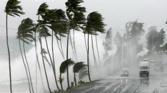 “الويكاند”.. عواصف رعدية ورياح قوية بهذه المناطق