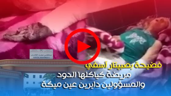 فيديو : فضيحة بصبيتار آسفي..مريضة كياكلها الدود والمسؤولين دايرين عين ميكة