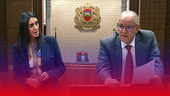 فيديو : المستشار البرلماني مبارك السباعي يطرح اشكالية الصناعة التقليدية والتسويق