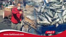 بالصوت والصورة :السيبة في المرسى ديال آسفي…شكون كيحمي الأباطرة الكبار