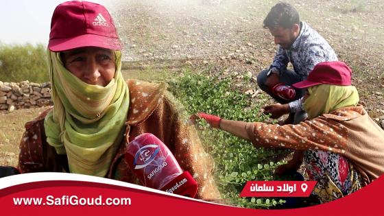 فيديو :والله ماتشدي القفة…السيدة اللي هددها شيخ جماعة اولاد سلمان بآسفي تخرج عن صمتها