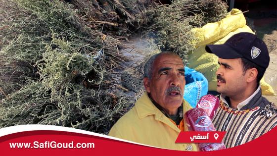 فيديو : الشيح..التجارة المربحة اللي ولات مطلوبة في زمن كورونا