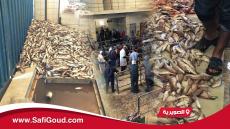 فيديو صادم : الفوضى والتسيب بسوق السمك بالصويرية وكورونا تحلق فوق رؤوس البحارة والتجار