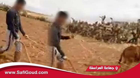 ها بشحال حكمت ابتدائية آسفي على شاب سجل فيديو وحرض الناس باش ما يحترموش الحجر الصحي بإقليم آسفي