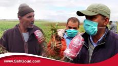 فيديو:فلاحي جماعة لحضر..غادي نخسرو 700 هكتار من الشمندر حيت معطوناش الما باش نسقيو وكوسومار تتحمل المسؤوية