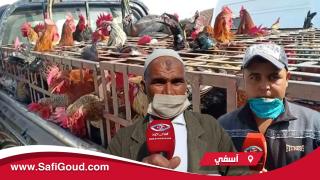 فيديو :رغم ارتفاع اثمنة اللحوم البيضاء.. ثمن الدجاج البلدي يعرف انخفاضا ملحوظا