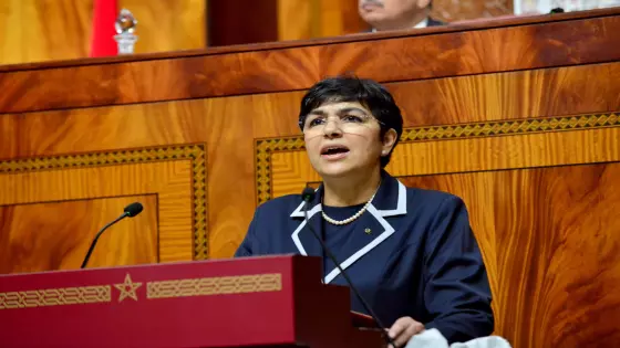 جرائم الأموال.. العدوي تحيل 55 ملفا على رئاسة النيابة العامة