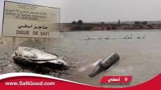 فيديو : وضع بيئي خطير بالبراج ديال الما اللي كيزود آسفي والجهات المسؤولة ضاربة الطم حول وضعه الكارثي