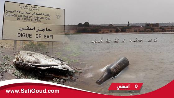 فيديو : وضع بيئي خطير بالبراج ديال الما اللي كيزود آسفي والجهات المسؤولة ضاربة الطم حول وضعه الكارثي