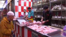 أسعار الدجاج تواصل «التحليق» على بعد أسابيع من رمضان