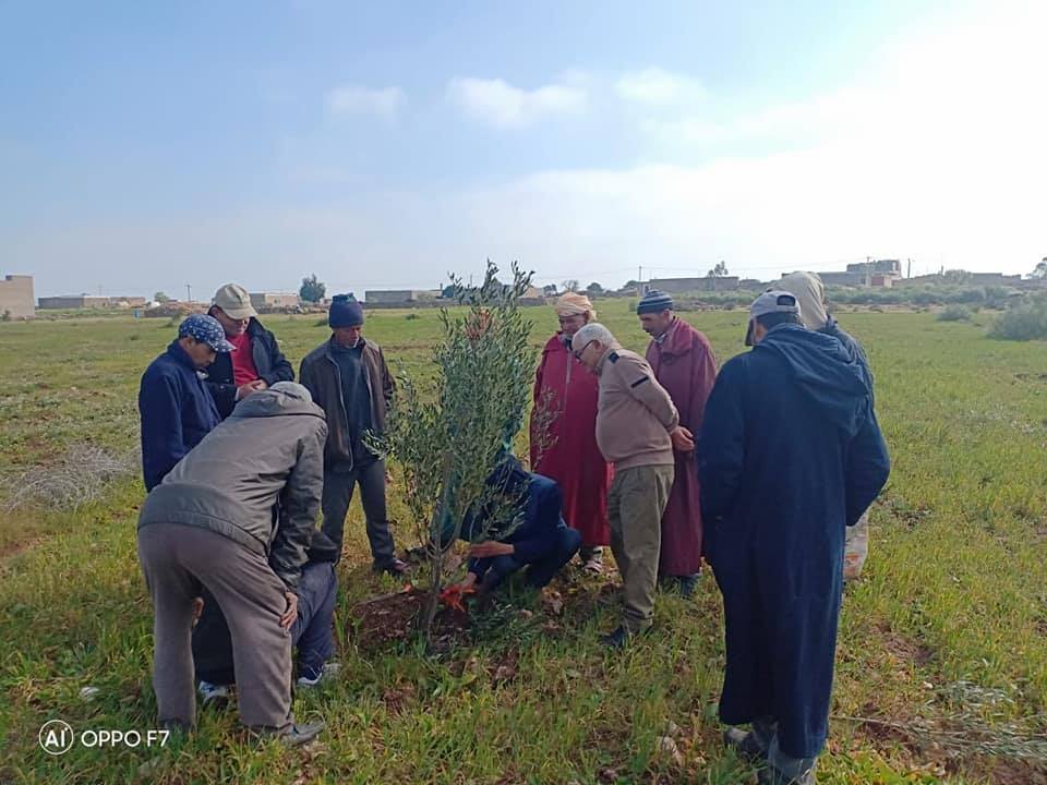 جمعية المستقبل للتنمية بجماعة أولاد سلمان تؤطر فلاحي المنطقة حول الطرق العصرية لغرس أشجار الزيتون