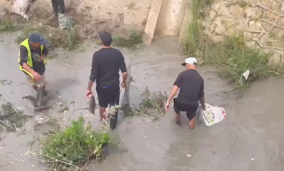 فيديو:مشاهد مثيرة..حشود غفيرة من الشباب كيجبدو الحوت من وسط الما الخانز بجانب السد المائي سيدي عبد الرحمان نواحي آسفي