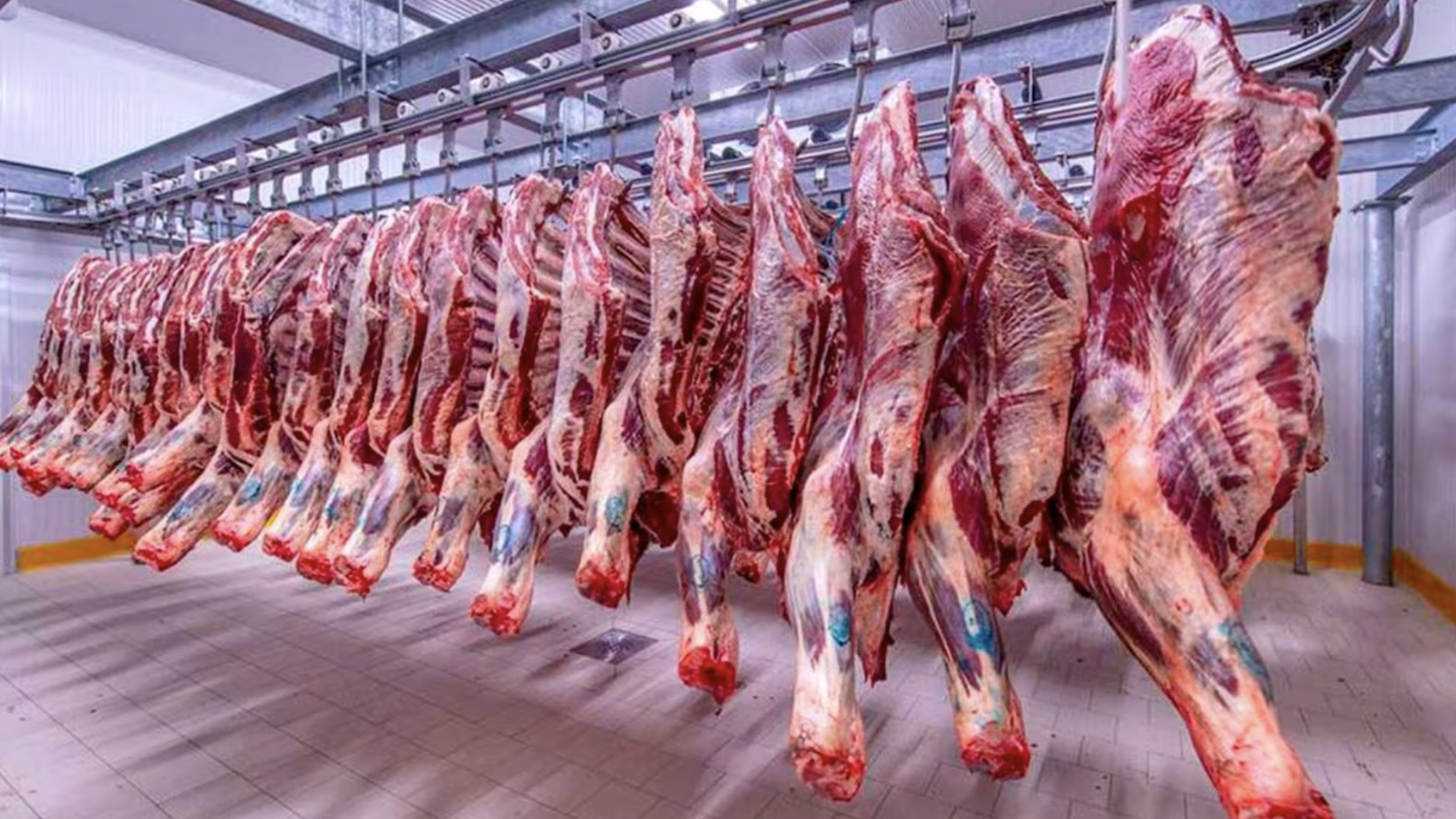 فضيحة دعم استيراد اللحوم الحمراء: الحركة الشعبية تهدد بمذكرة حجب الثقة ما لم تُشكَّل لجنة تحقيق برلمانية