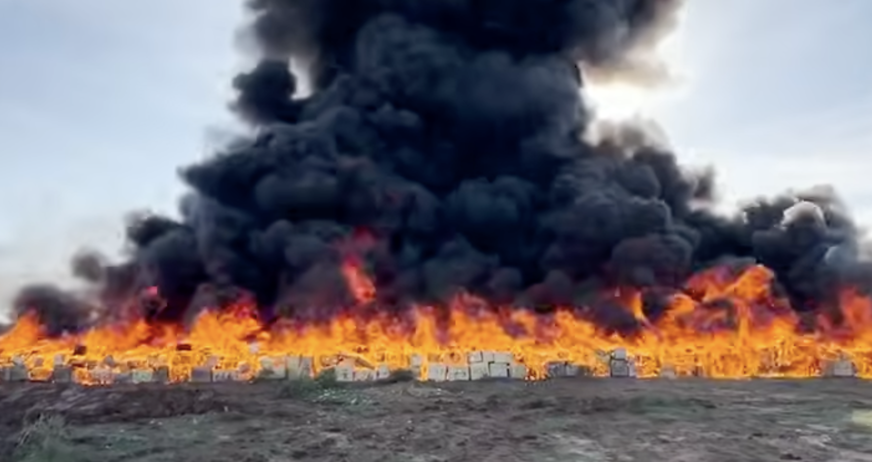 اتلاف ما يقارب 37 طن من الحشيش و1000 حبة قرقوبي وكميات كبيرة من الكيف بآسفي